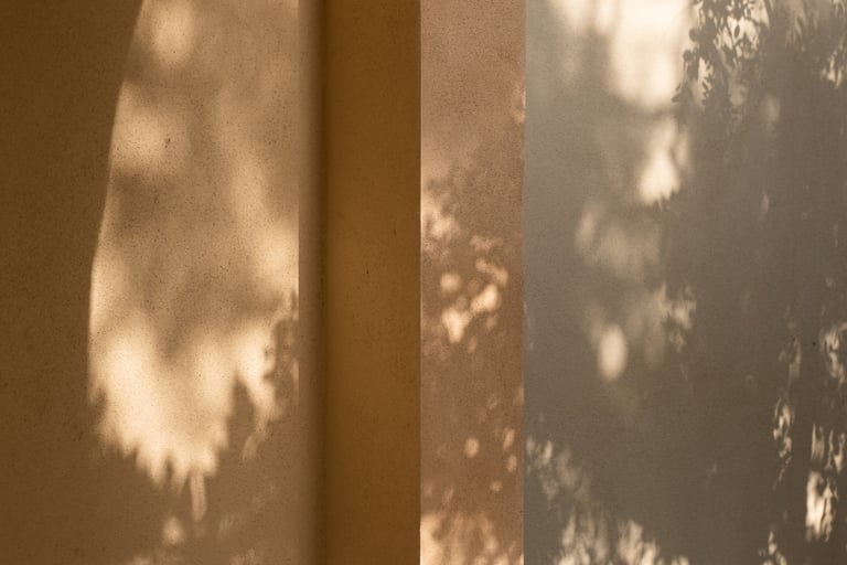 Limewash wall absorbing afternoon light — matte surface texture.