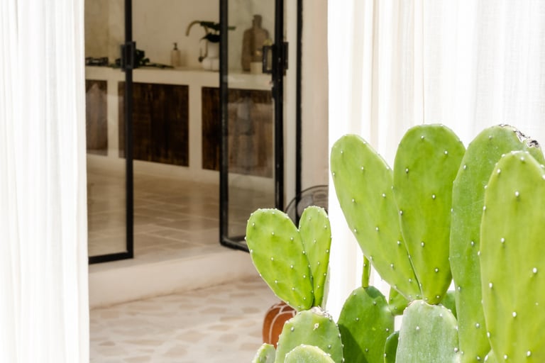 Stone floor crossing the threshold from interior to terrace in a French Mediterranean house.