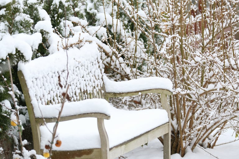 Outdoor teak bench through winter on a French Mediterranean terrace.
