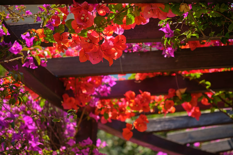 Pergola casting structural shade on a French Mediterranean terrace.