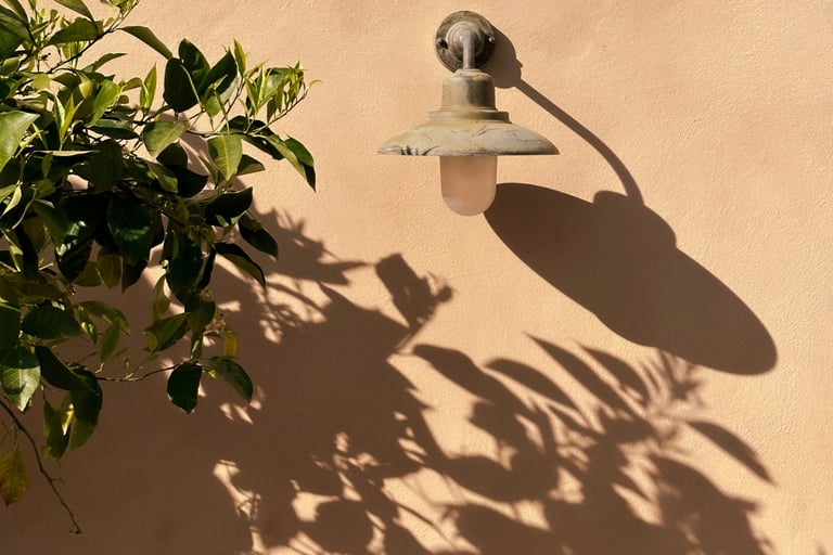 West-facing wall holding evening light on a French Mediterranean terrace.