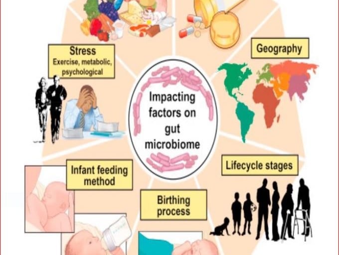 Lees wat de invloed van je microbioom is