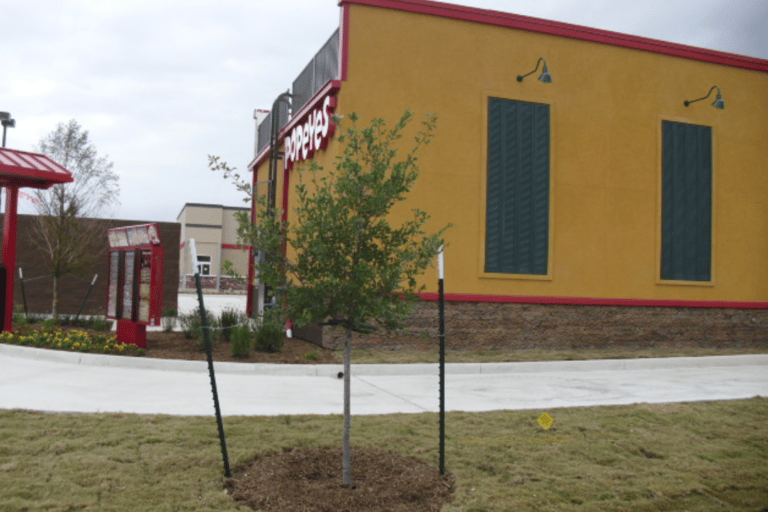 Lacey Oaks installed 