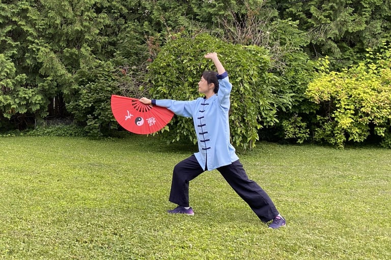 Tai Chi Fan Performance and Tai Chi Fan Training