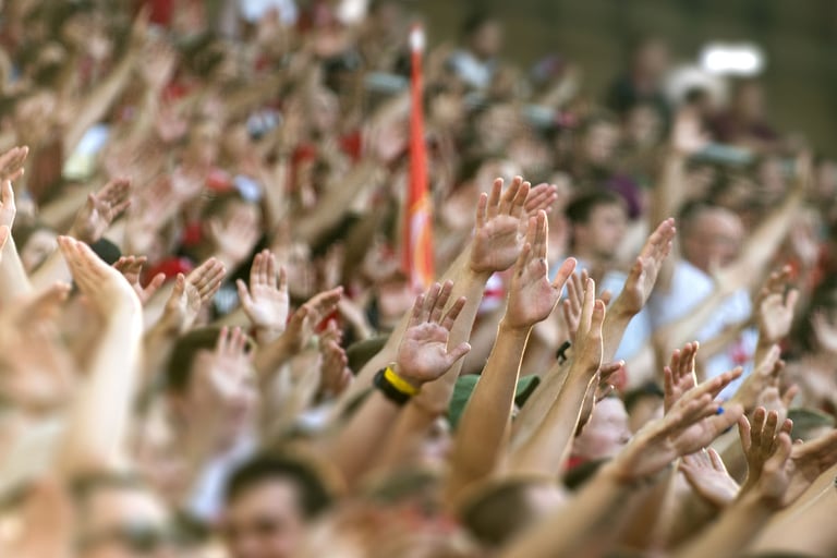 Crowd Management