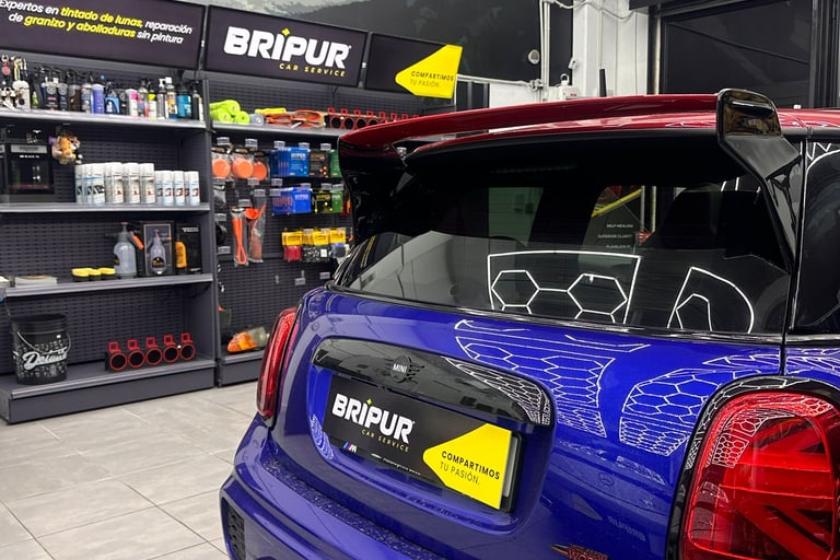 Tintado de Lunas homologados