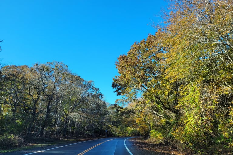 Route du Cape Cod