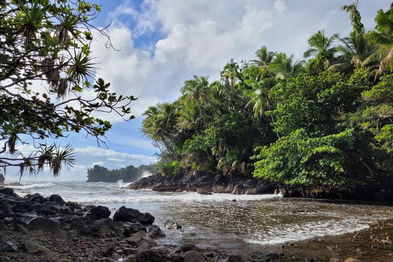 Onomea bay trail