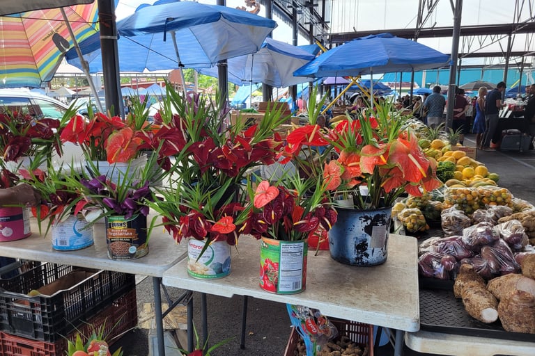 Marché Hilo Big Island