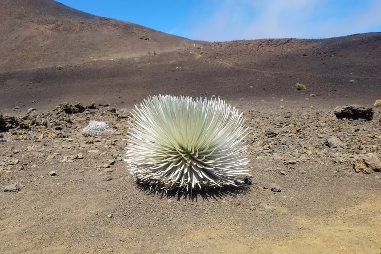 Haleakala NP