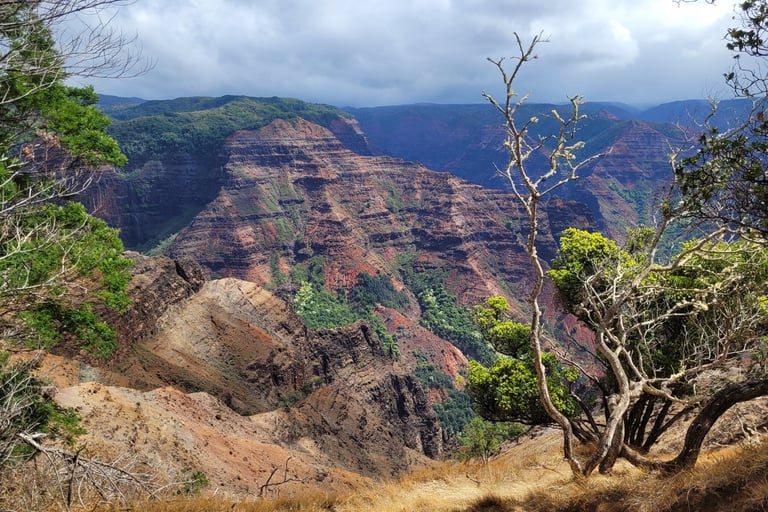 Waimea canyon Kauai