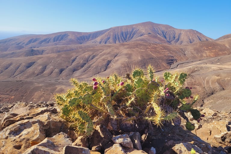 Voyage 1 semaine lanzarote: Passionnément évasion