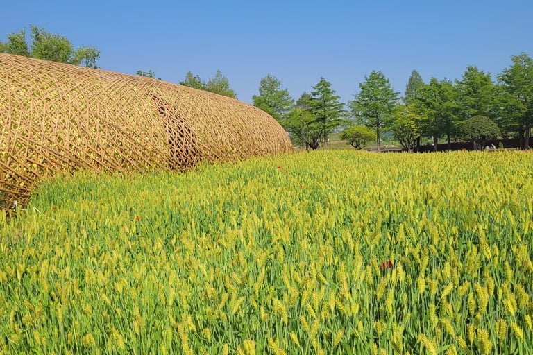 Suncheon Bay Garden