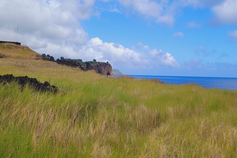 Elephant rock Sao Miguel Açores