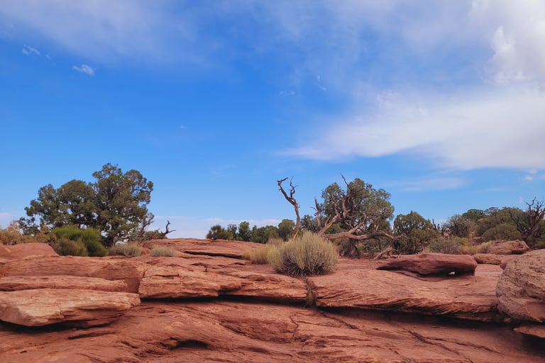 Capitol Reef National Park