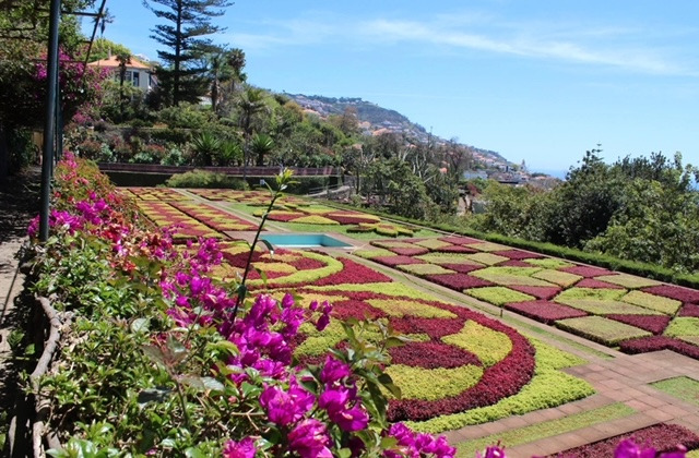 Camara dos Lobos