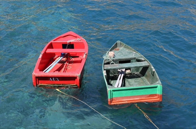 Camara dos Lobos