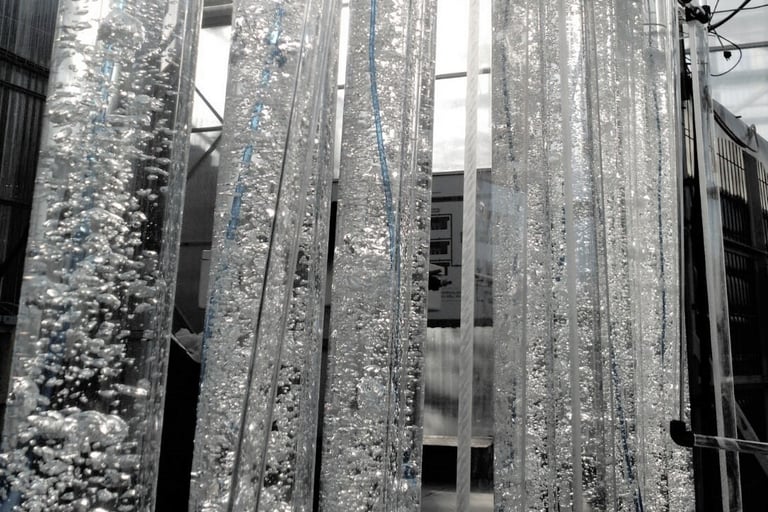 construcción de fotobiorreactores para microalgas españa