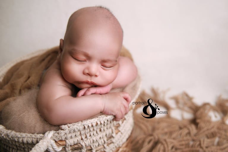 newborn photography bexley