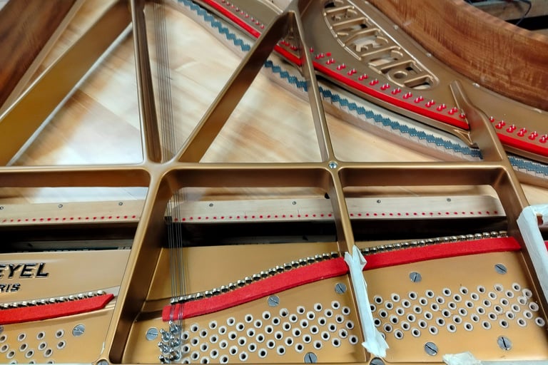 Accordeur de pianos Lyon. Pianos Lyon