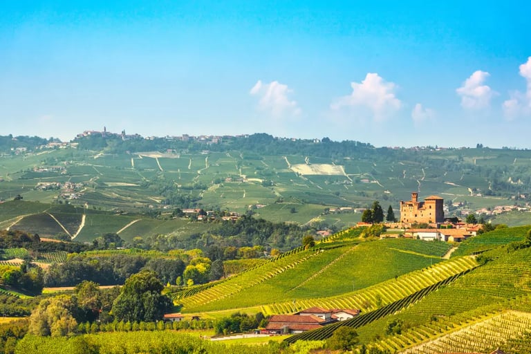 View of Alba Piedmont with medieval towers and historic rooftops