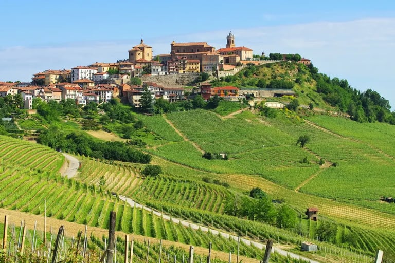 Panoramic view of vineyards from Belvedere terrace in La Morra Piedmont