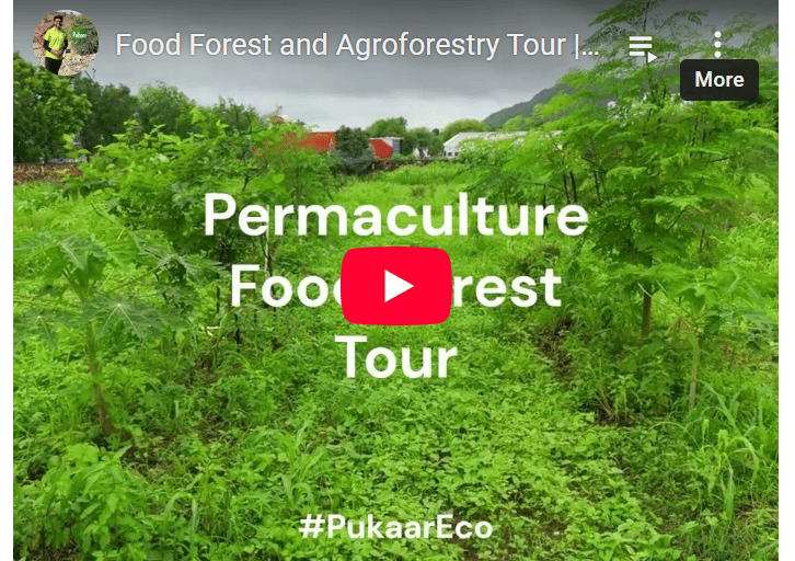 Pukaar Eco services Permaculture design