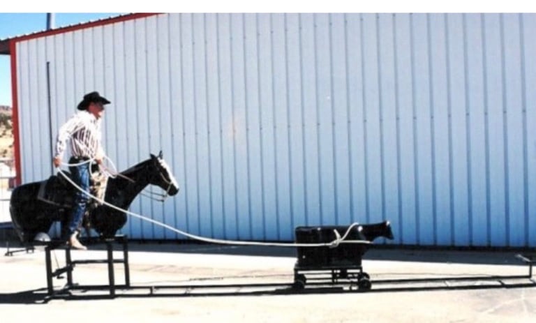 Calf Roping Game