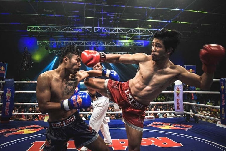 mma boxing training fighting equipment