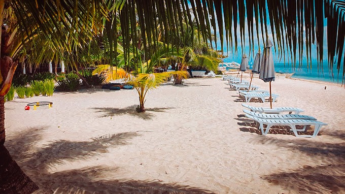 Evolution resort beach