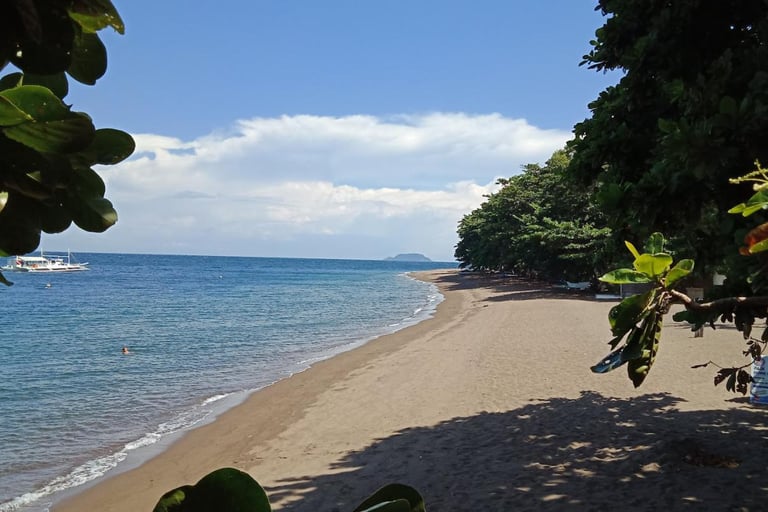 Playa de Dauin