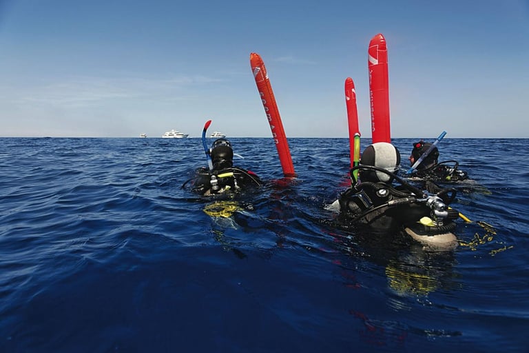Imagen curso padi divemaster