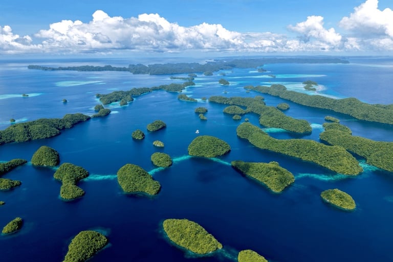 Four Seasons Explorer Palau