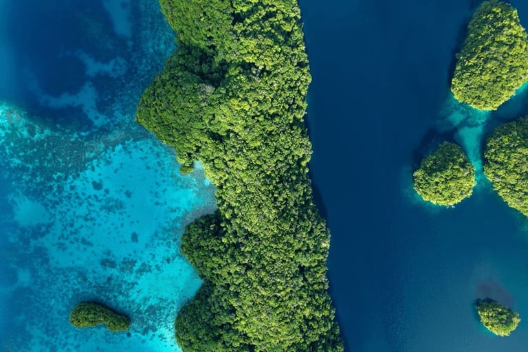 Four Seasons Explorer Palau