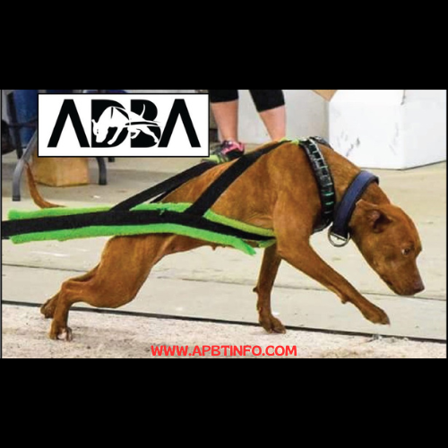 apbt weight pull game dog