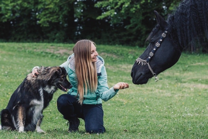 Animal Communication allows you to connect to your animal and pet