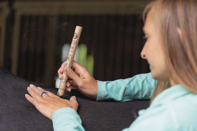 Moxa am Pferd als Pferdeakupunktur