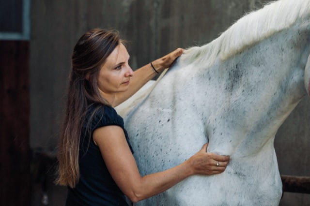 TCM Untersuchungsgang am Pferd