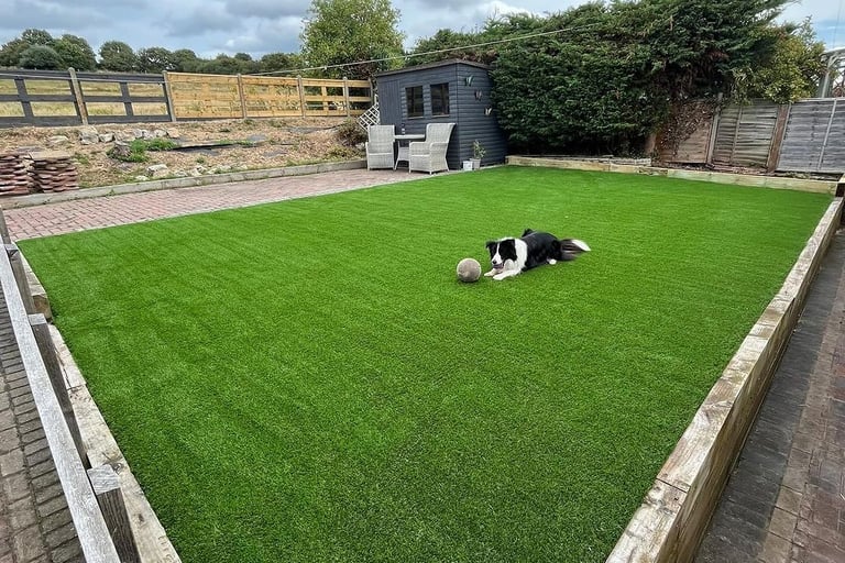 pet friendly artificial grass goals floors