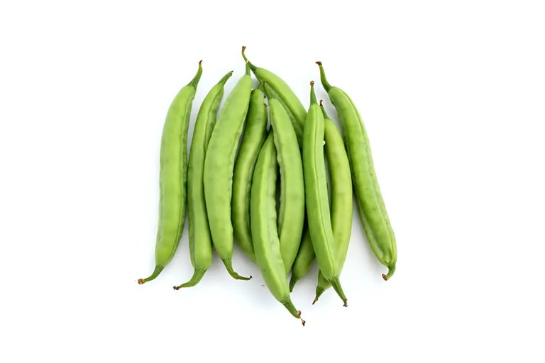 Gousse de haricots verts nains