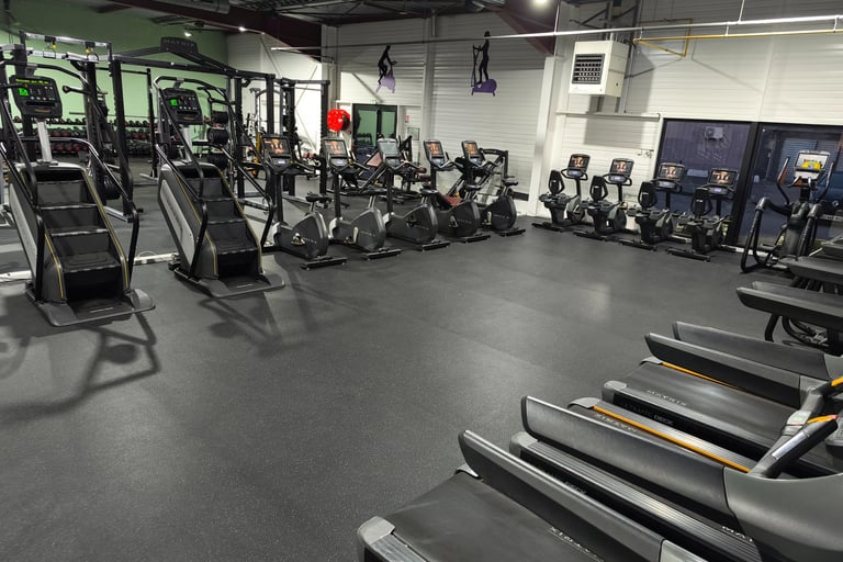 machines de cardio dans une salle de sport