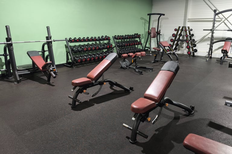 Banc et haltères de musculation