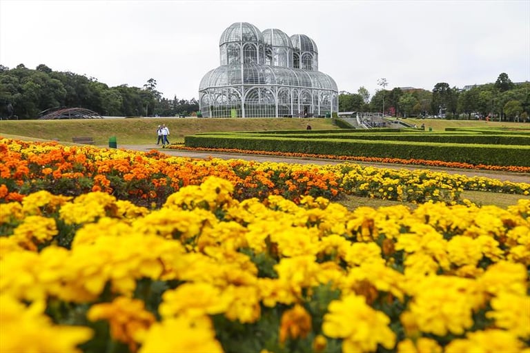 Curso de Banho e Tosa de Curitiba