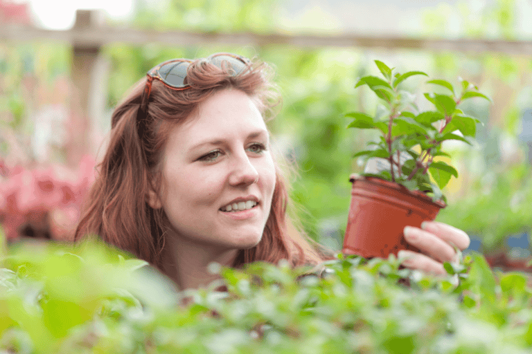 Choosing Your Perennial Vegetables