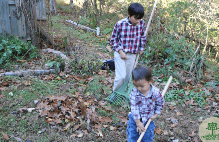 Fall Garden cleanup