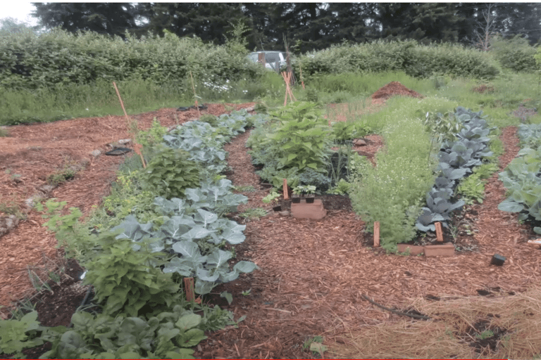 Permaculture Guilds