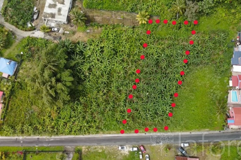 Terrain à vendre Laforêt Guadeloupe Capesterre Belle Eau