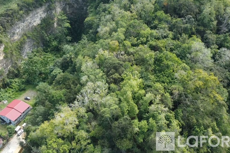 Terrain à vendre Laforêt Guadeloupe Les Abymes