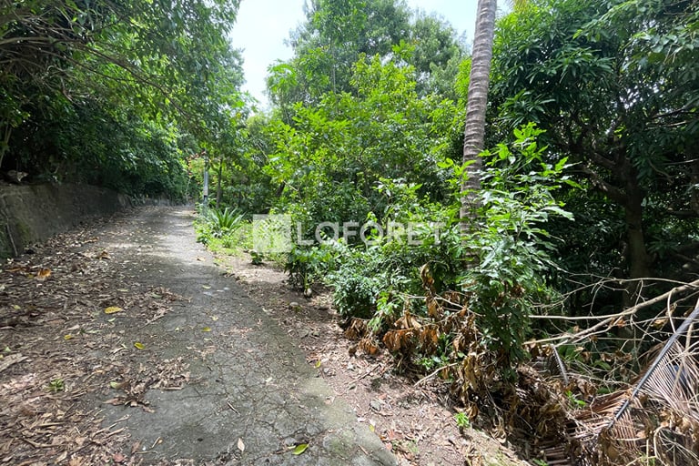 Terrain à vendre Laforêt Guadeloupe Deshaies
