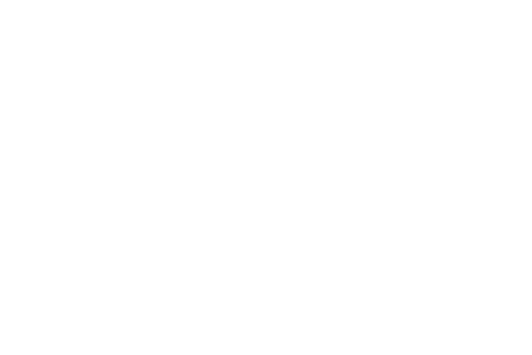 logo disobey